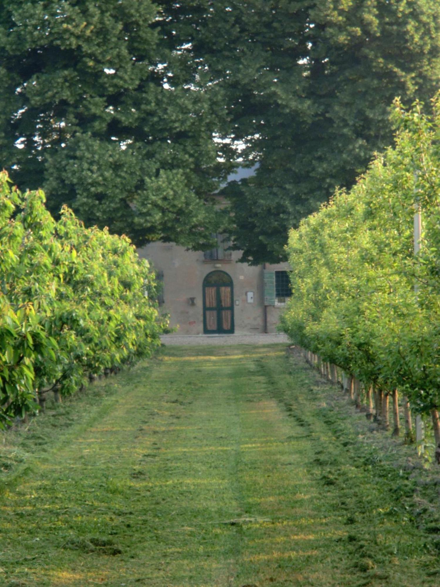 Agriturismo Alla Casella Ferrara Exterior foto